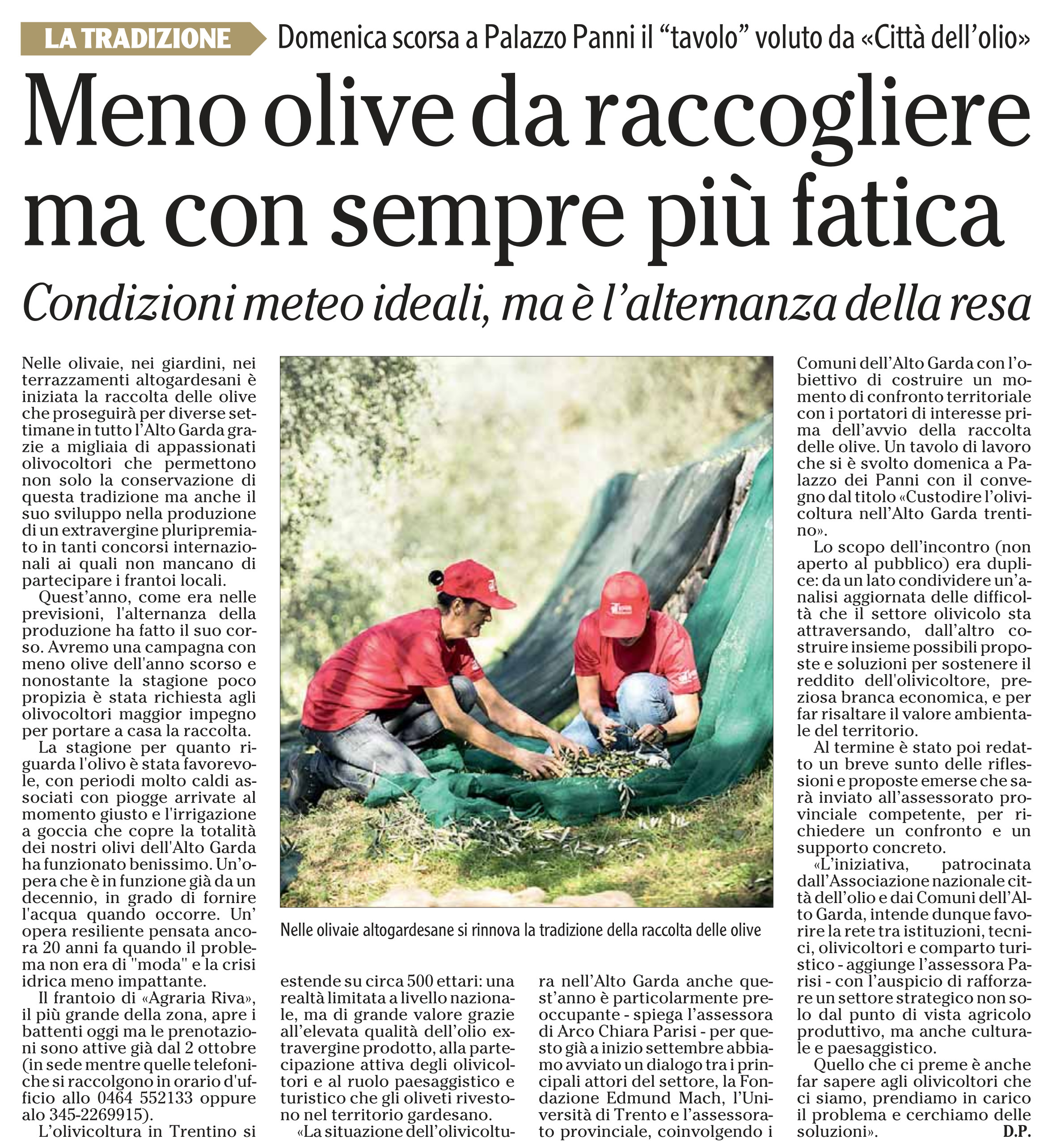 Dalla stampa: "Meno olive da raccogliere ma con sempre più fatica".