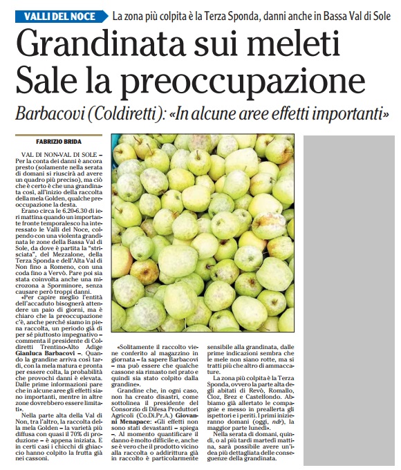 Dalla stampa: "Grandinata sui meleti, sale la preoccupazione"