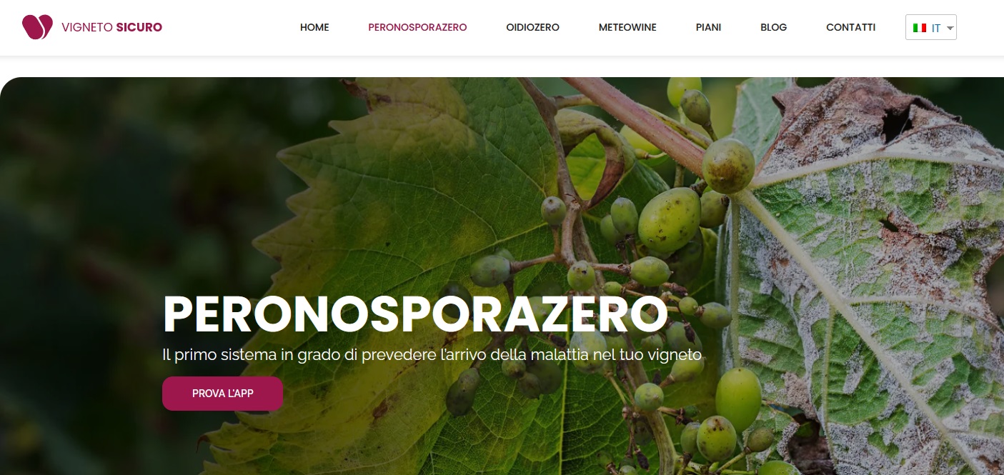 Vigneto Sicuro: una APP per prevenire le malattie della vite