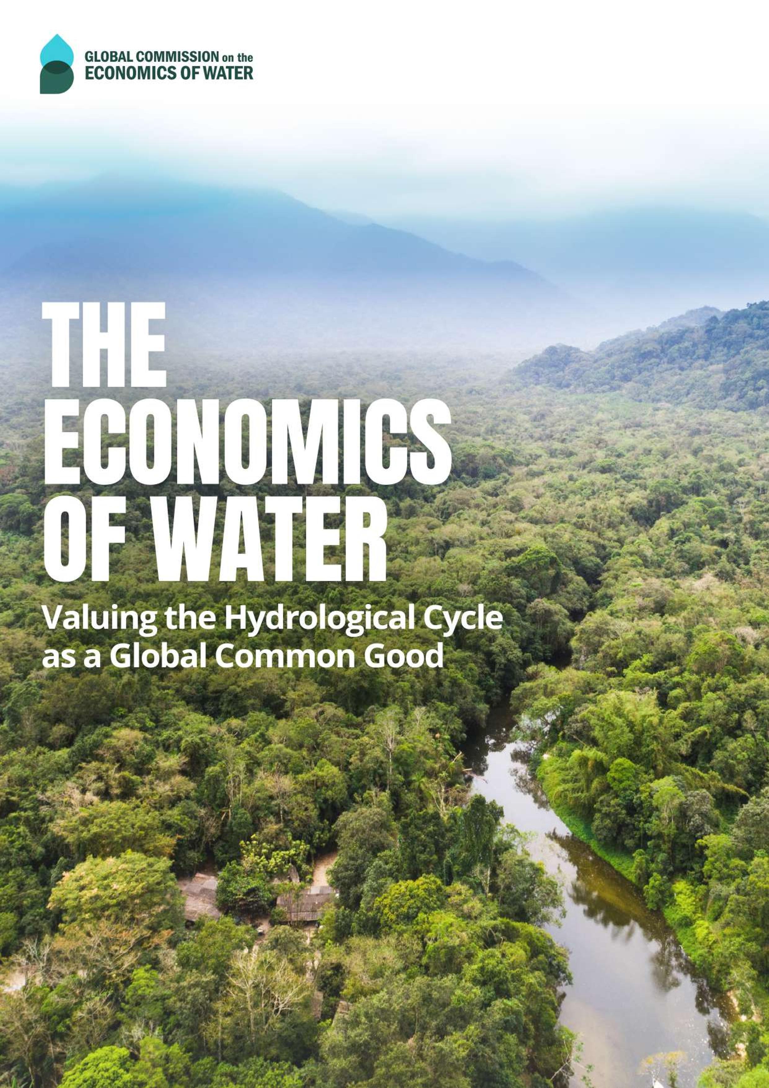 Commissione globale sull'economia dell'acqua: valutare il ciclo idrologico come bene comune globale