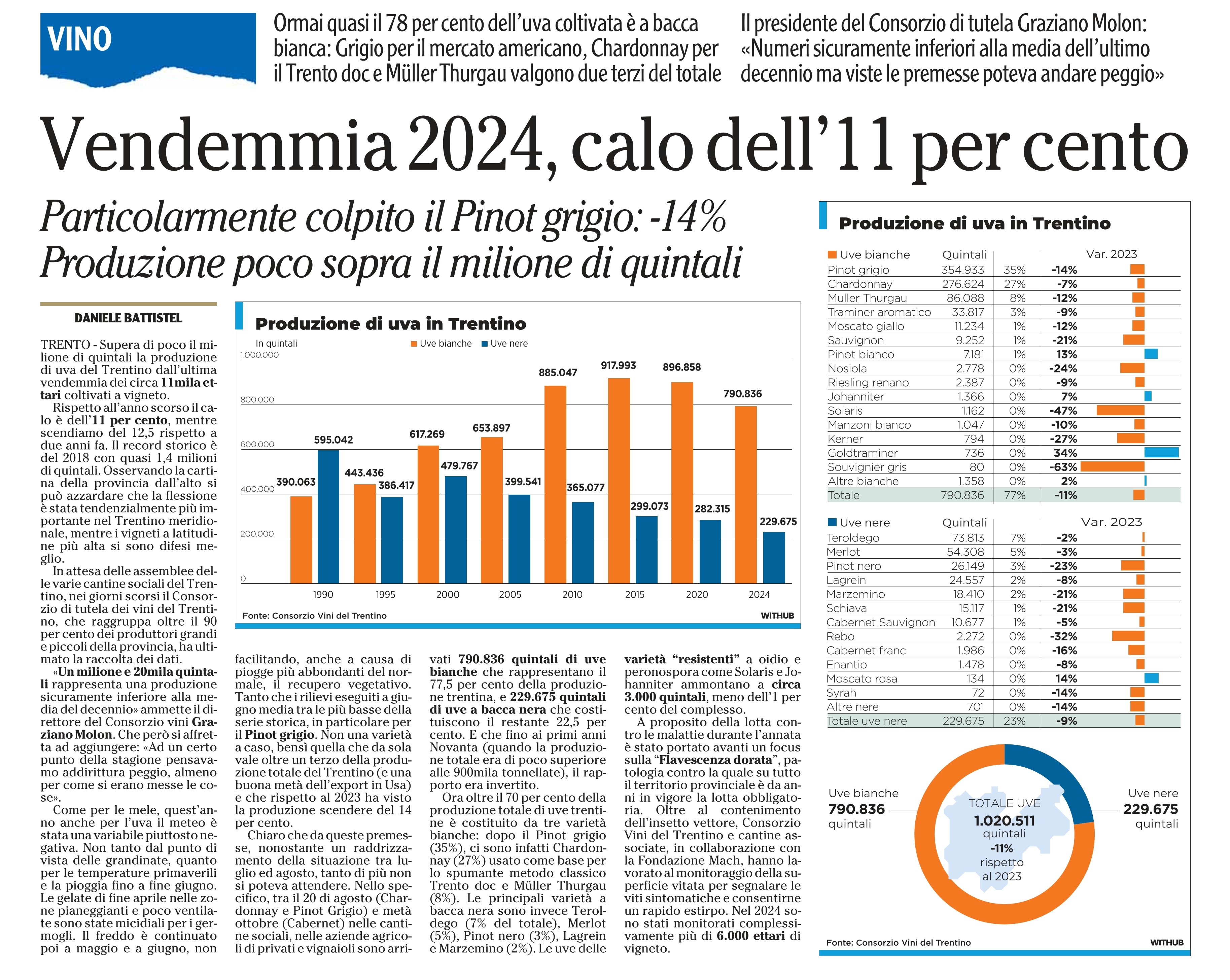Dalla stampa: "Vendemmia 2024, calo dell'11 per cento"