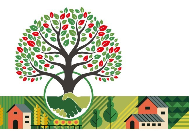 Rapporto di ricerca: "Cooperazione agricola italiana: un motore economico e sociale da 46 miliardi di euro"