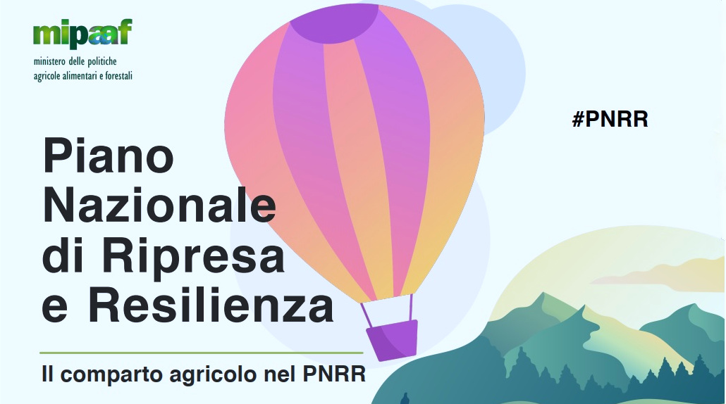 Il comparto agricolo nel PNRR