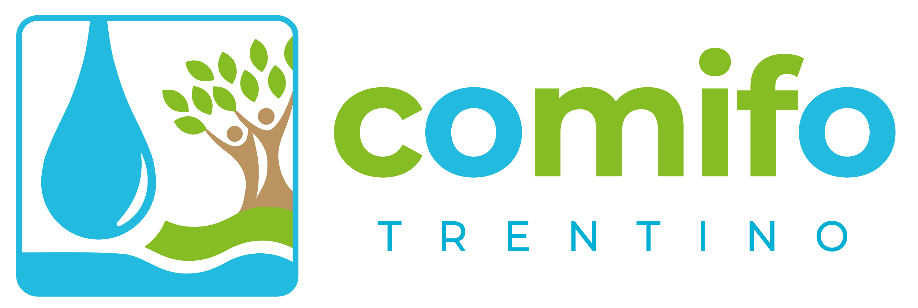 Conclusione della collaborazione con il direttore.