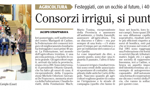 Dalla stampa: 