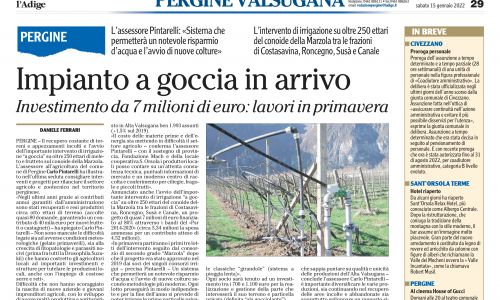 Dalla stampa: 