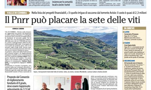 Dalla stampa: 