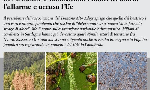 Dal web: 