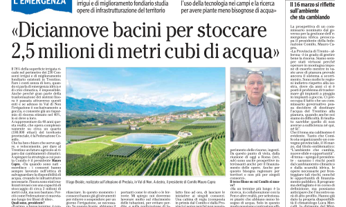 Dalla stampa: 