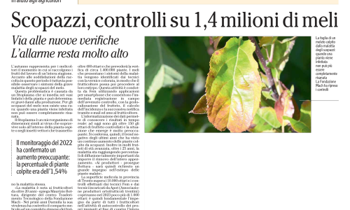 Dalla stampa: "Scopazzi: controlli su 1,4 milioni di meli"