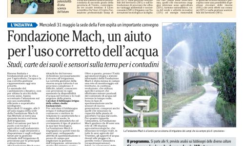 Dalla stampa: 