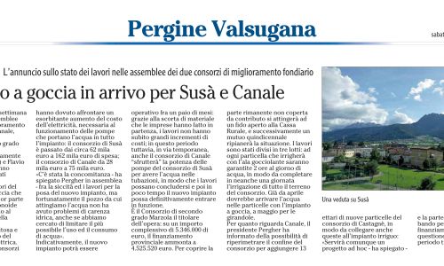 Dalla stampa: 