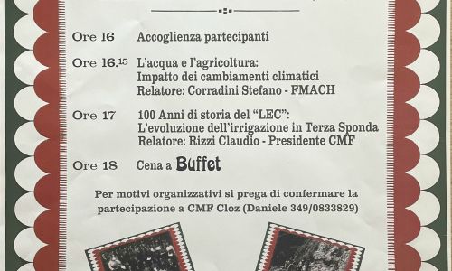 I 100 anni del 